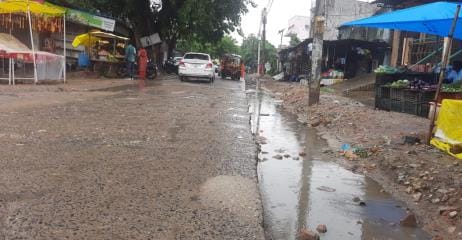 Interlocking roads turned into swamps, rural disturbance
