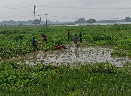 Ganga is still flowing above the warning point in Ghazipur