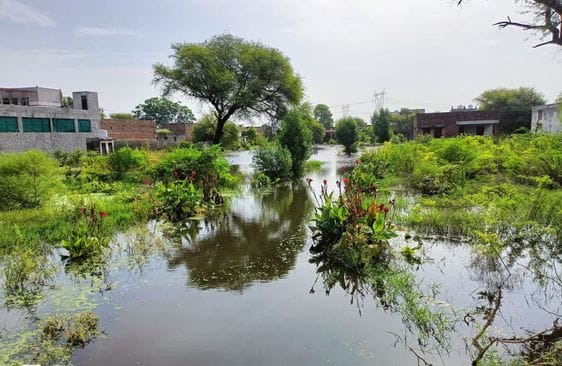 Story of mismanagement... Temple of knowledge becomes house of contaminated water