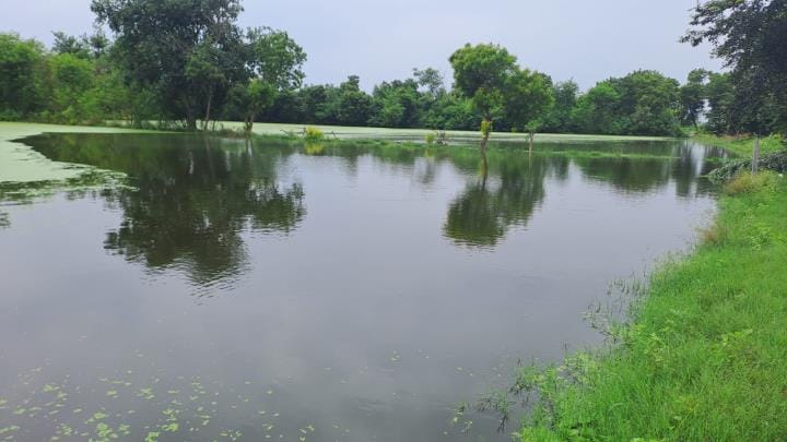 Drain closed for bridge construction, water filling in fields