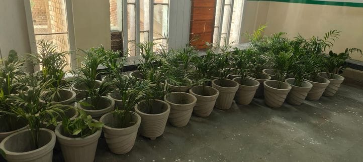 Civil hospital will be decorated with lush green plants on Independence Day