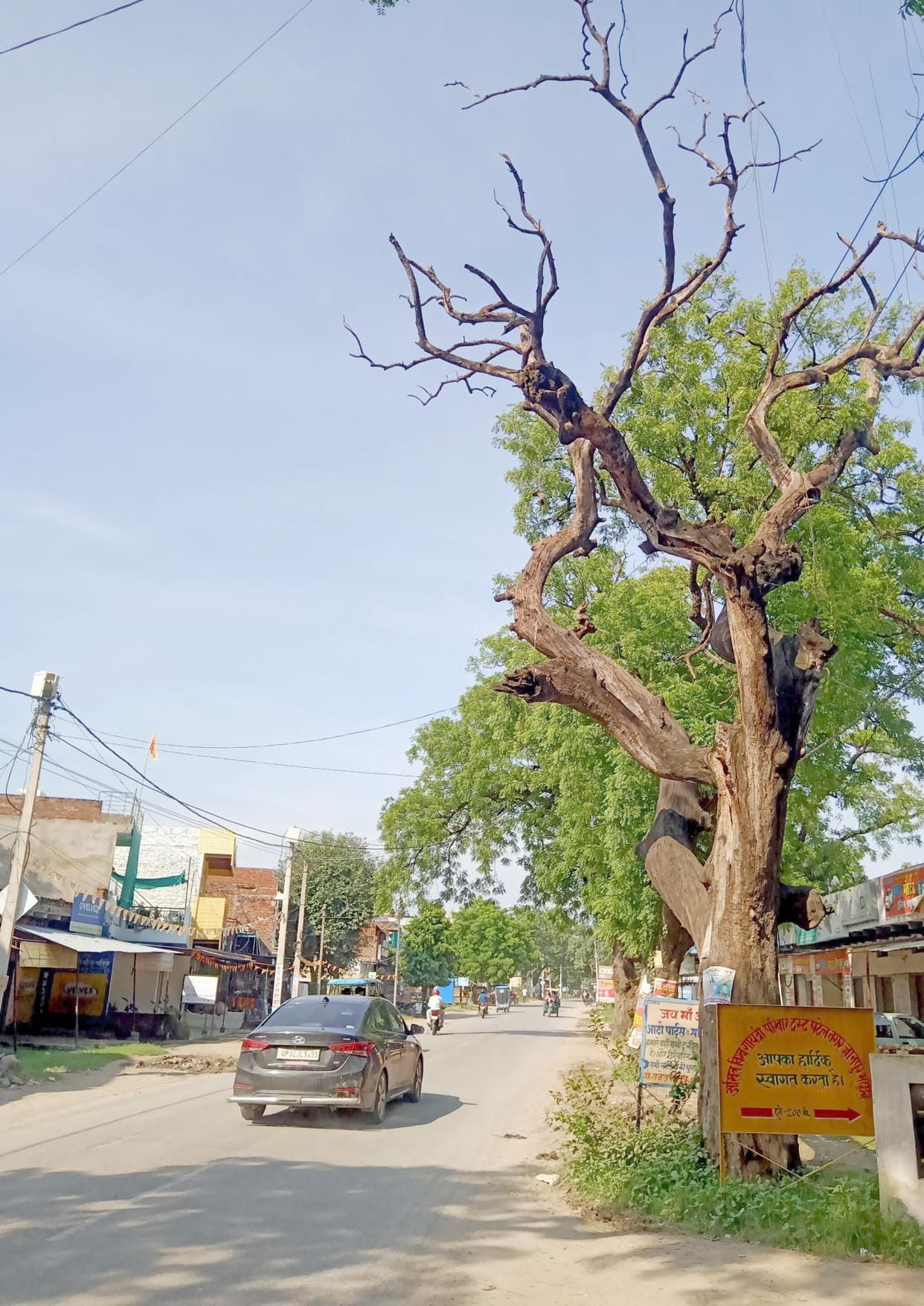 Trees on the roadside are dry, responsible for the accident awaits