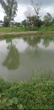 Kakkar Amrit Sarovar filled with rain water, irrigation facility started in adjacent fields
