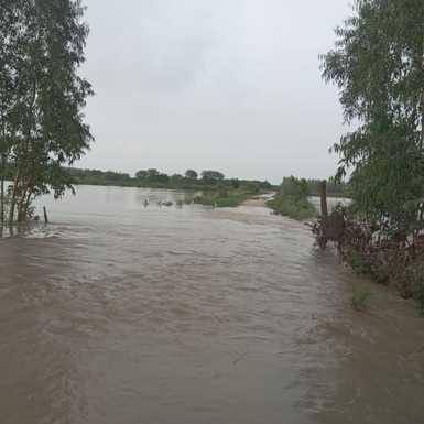 Ramganga is in spate, Mirganj-Aonla connecting road cut off, crops in five thousand bighas of land submerged