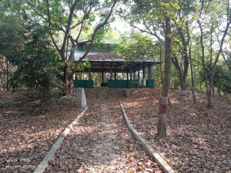 Buddha Vipassana Upvan transferred to Palika, new experiments will increase attraction