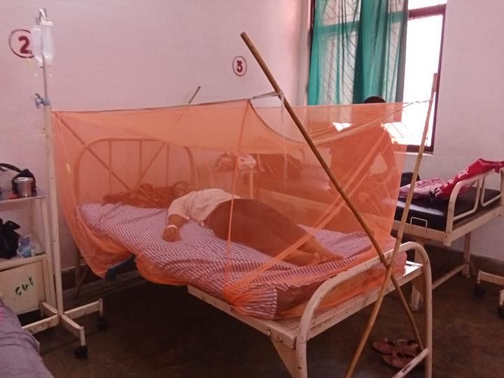 Meerut Dengue Update: 4 new dengue patients, chikungunya and scrub typhus cases also reported