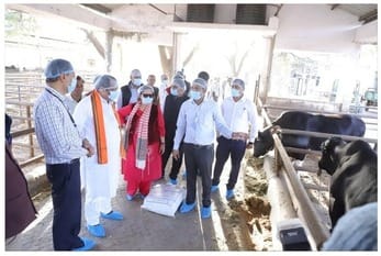Jaipur News: First semen lab in Bassi Rajasthan, milk production will increase with 75% cheaper dose