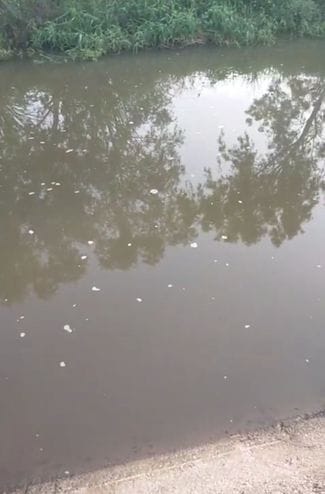 Dirty water is being sent directly to water tanks
