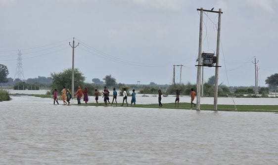 Fields submerged, water in houses, electricity cut off... villagers' lives are passing in darkness