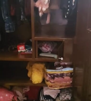 Thieves entered the house by jumping over the wall and escaped with jewellery and cash
