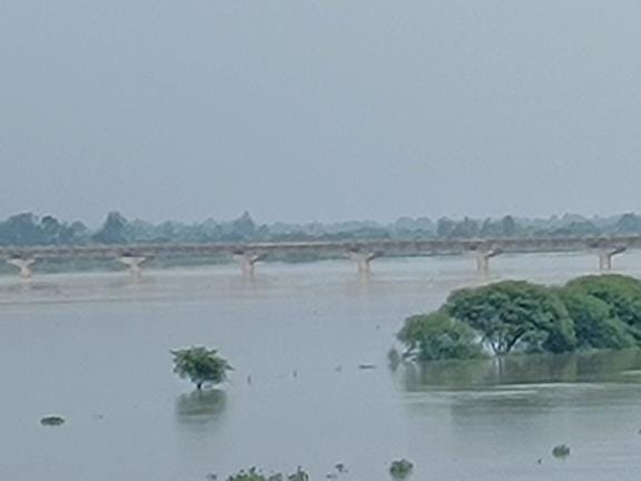 Ganga is just 43 centimeters below the danger mark