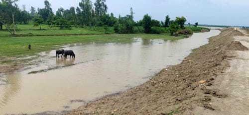 Four bighas of land along with crops got submerged in Saryu
