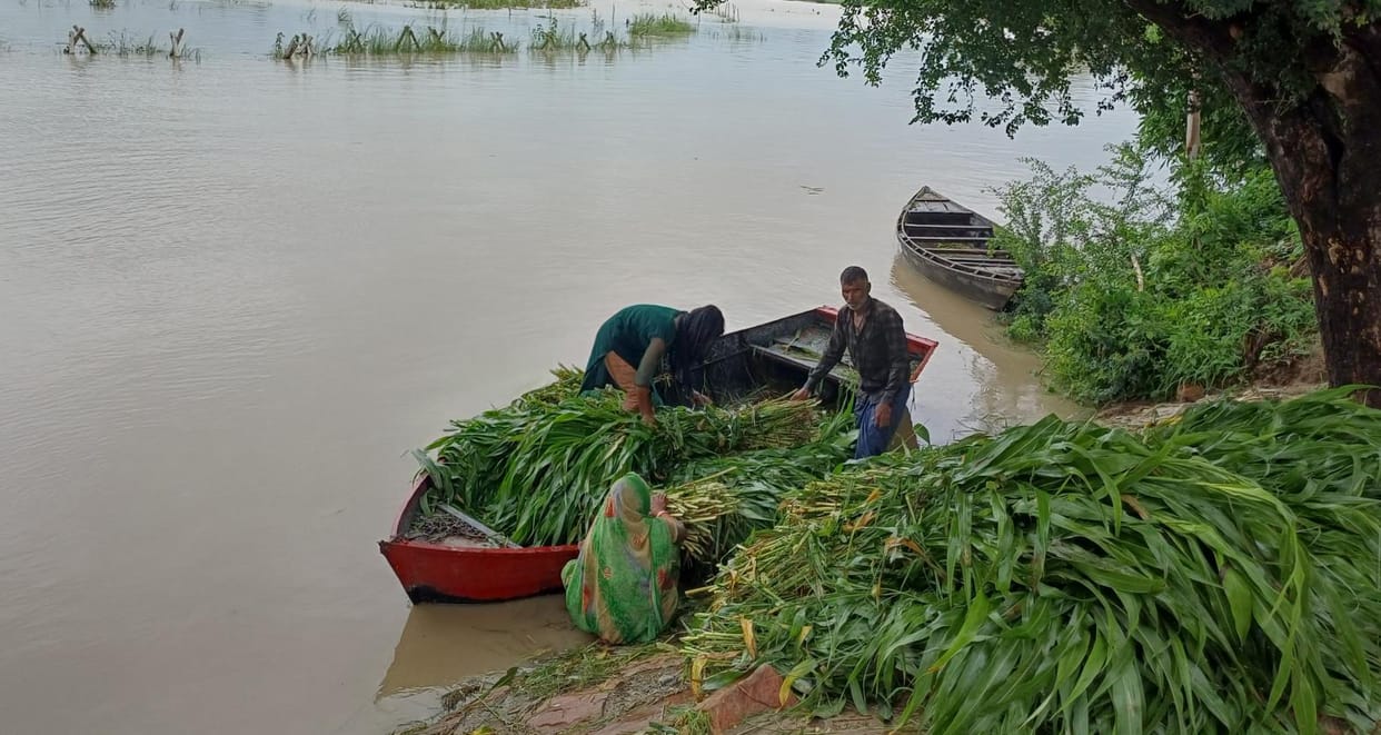 Saryu's water level decreased, no relief from erosion
