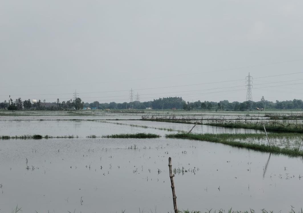Gulalpur drain became a problem, 1200 bigha fields submerged
