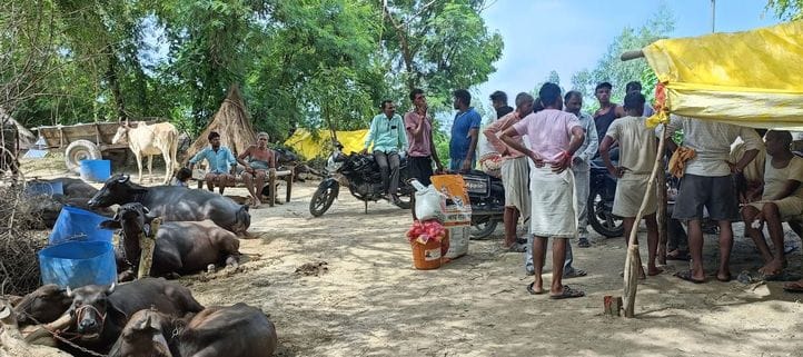 Villagers surrounded by floods are struggling to save their homes, belongings, cattle and lives