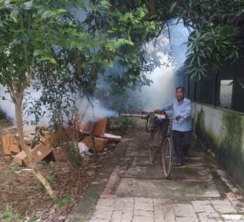 Dengue outbreak increased, four more patients found