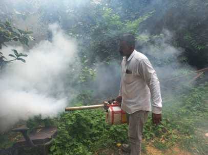 People took a sigh of relief from fogging in Kanina