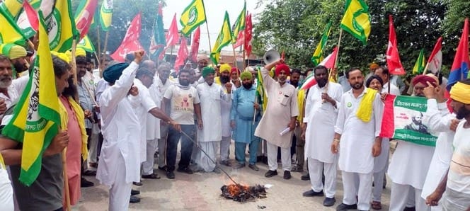 Farmers burnt effigies of the central and US governments