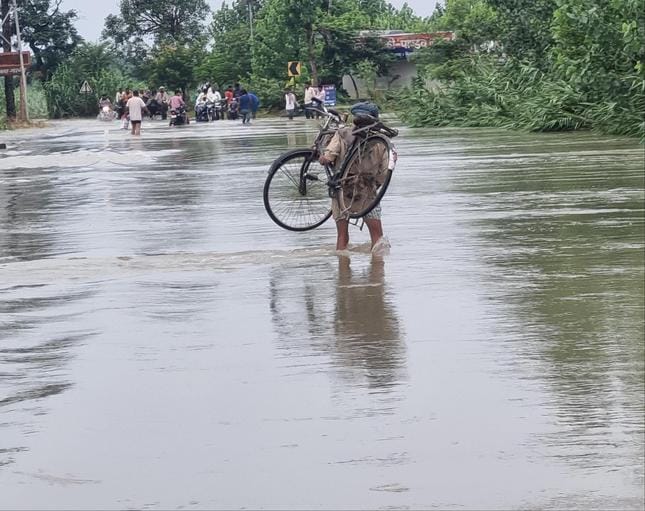 The whole family was swept away in the water, but survived by holding on to a tree
