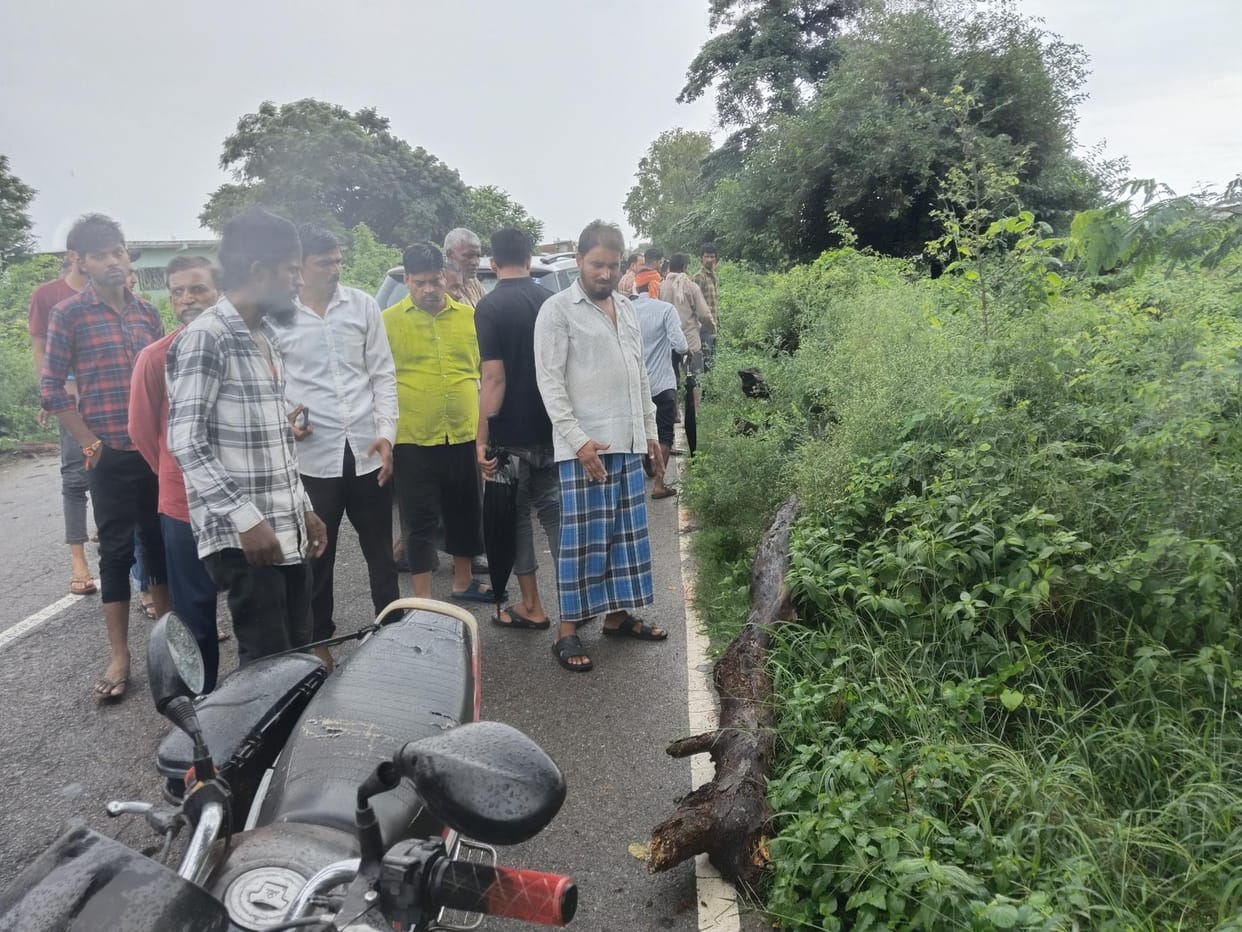 A sheesham tree fell on a bike rider, causing his death