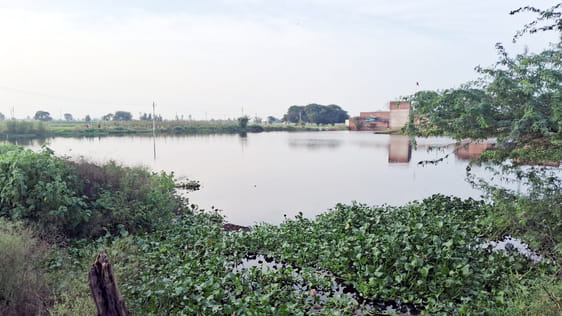 The brother of the watchman drowned in the pond, villagers started searching