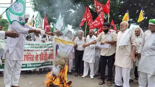 Farmers burnt effigy against free trade agreement