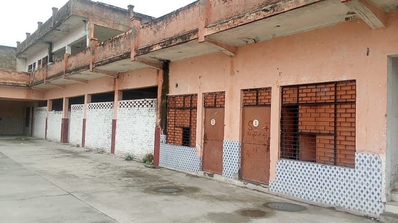 Every month 2 thousand people are becoming victims of stray dogs in the district, shelter home is locked