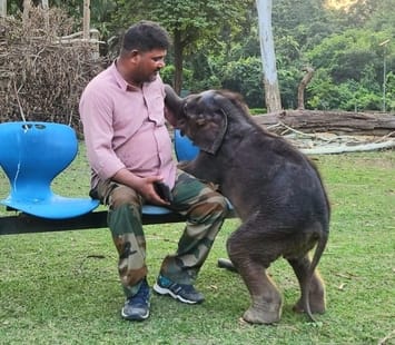 Mahout Irshad will get 50 thousand rupees as reward