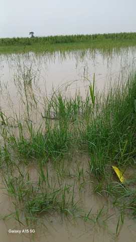 Ganga's water level decreased by five thousand cusecs