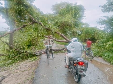 38 mm rain in the district in 24 hours, two trucks carrying flood relief material got stranded due to falling of tree