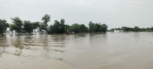 20 acres of land got submerged in flood in Chakki Nauranga