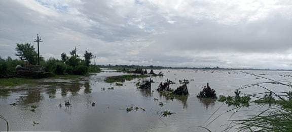 Gorakhpur News: Saryu erosion intensifies in Bagaha Dewar, flood water reaches close to the connecting road