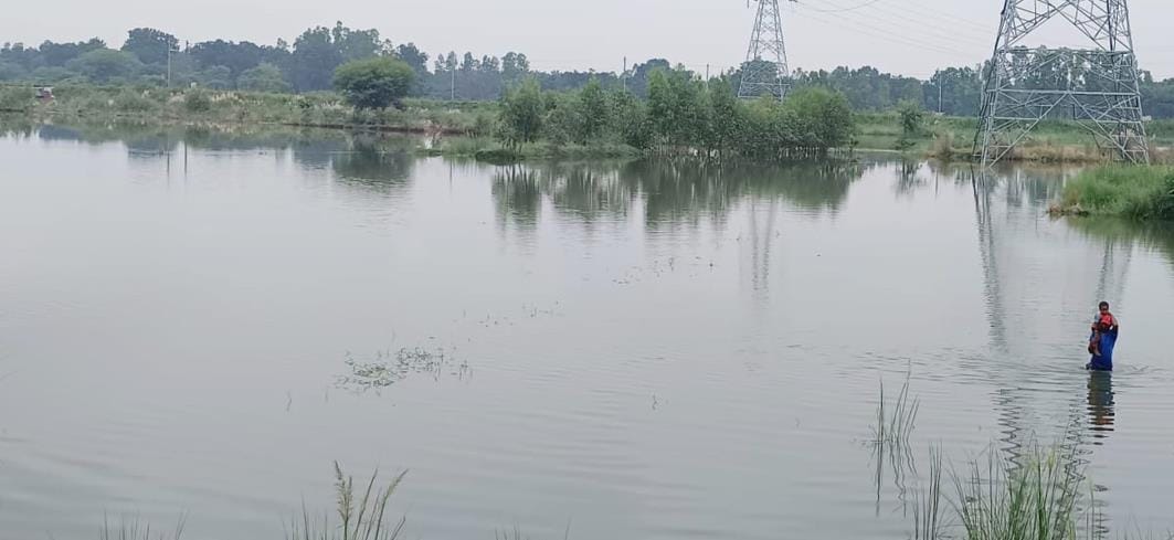 Drains overflowed, eight thousand bigha crops submerged