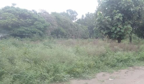 The condition of the stadium deteriorated due to rain, players are upset