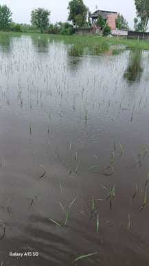1.08 lakh cusecs of water released from Bijnor Barrage, water level likely to rise