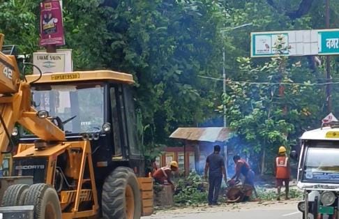 The corporation is busy cutting branches of trees to improve power supply
