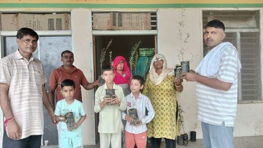 Jati plants distributed on Janmashtami