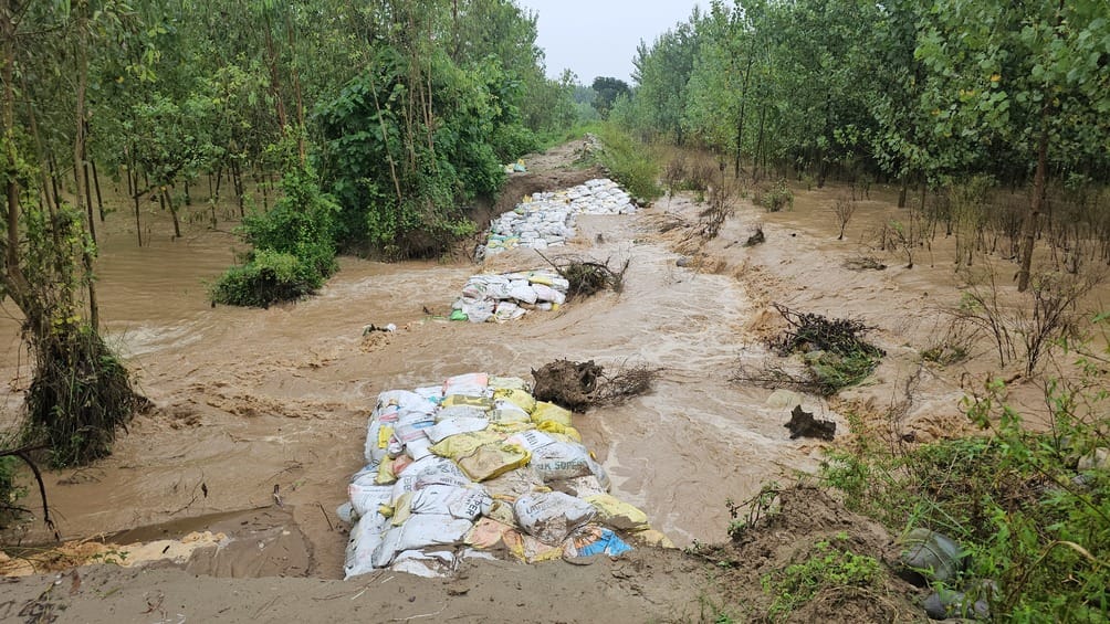 250 acres of crops submerged due to breaking of Pathrala track
