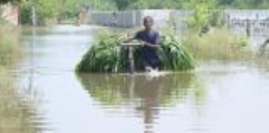 Ganga is just 36 cm away from the danger mark