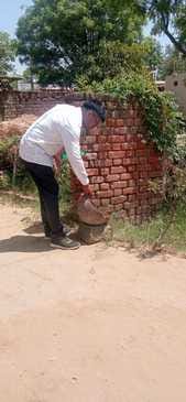 53 cases of dengue found so far, 50 recovered