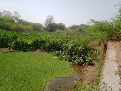When the size of ponds decreased, farmers did not like the scheme
