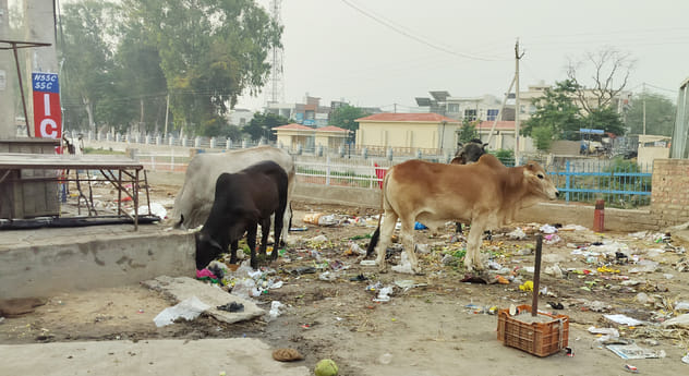 Irrigation department raised objection on the dumping point on the canal bank