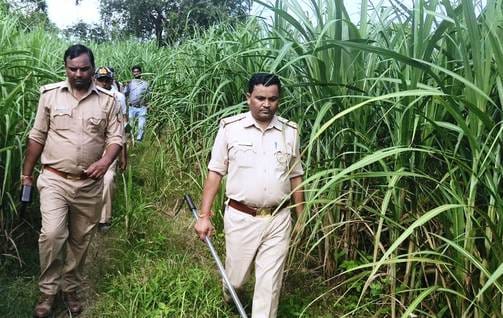 Forest department installed cameras to catch the tiger, patrolling continues