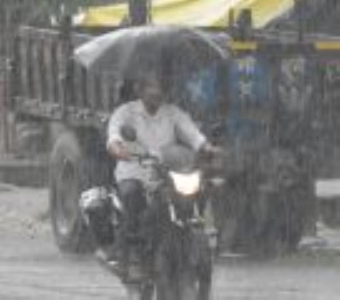Siddharthnagar News: Heat and humidity troubled people throughout the day, rain in the evening brought relief