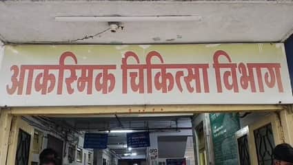 आवारा कुत्तों के हमले में 3 घायल