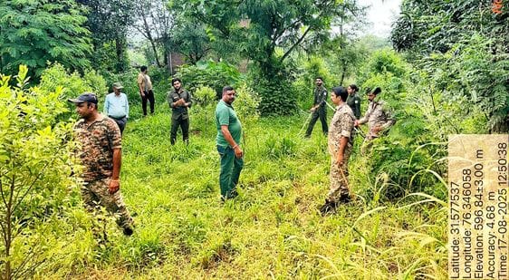 Leopard terror in Karlu village of Chhaparoh Panchayat