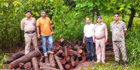 76 Khayr and 9 Mulberry trees recovered from Basal