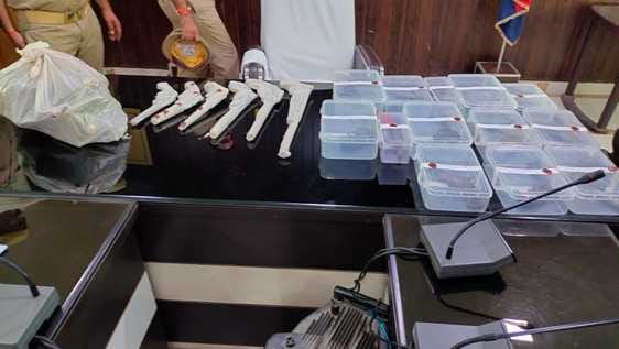 Illegal arms factory caught, two arrested