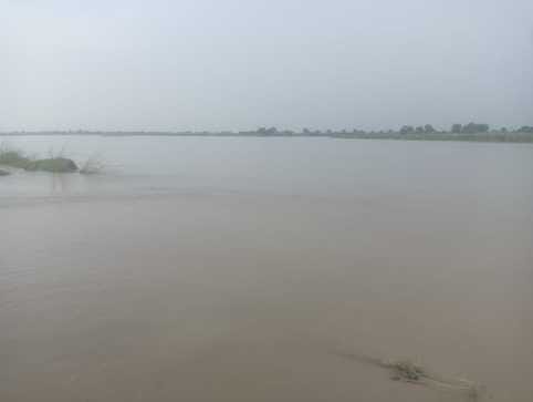 Water released from Hathini Kund Barrage, administration on alert