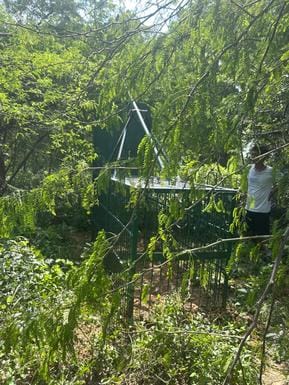 Leopard seen again in Sudnipur Kala village, panic among villagers